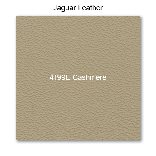 4199E Cashmere