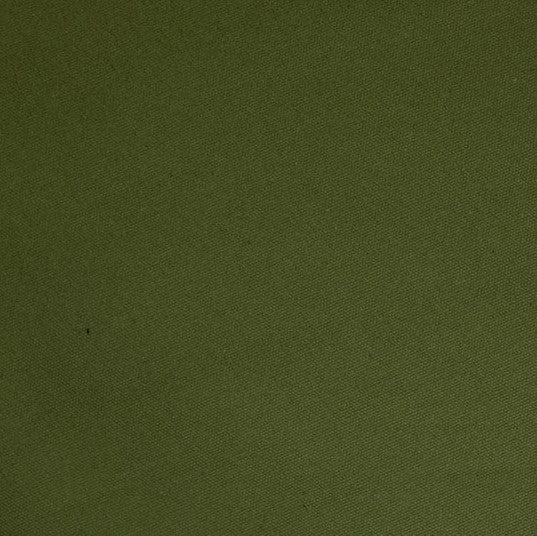 Army Tent Green 2
