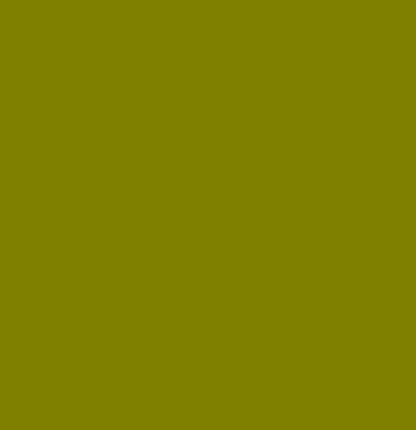 Army Olive Green 2
